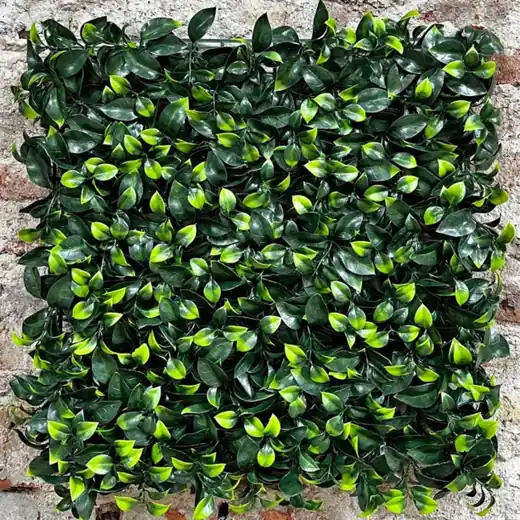 Jardín Vertical "Traful" Panel 50x50 Filtro UV (Con Protección UV) (Envíoa a Domicilio)