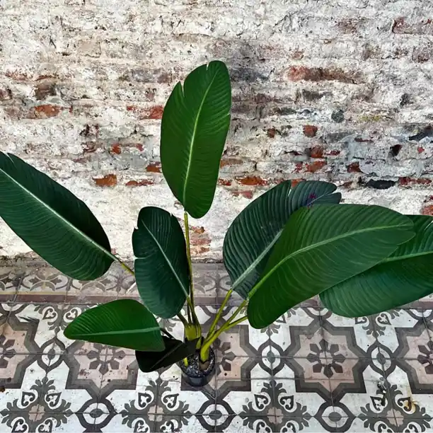Planta Artificial “Ave de Paraíso” 120cm (Envíos a Domicilio)