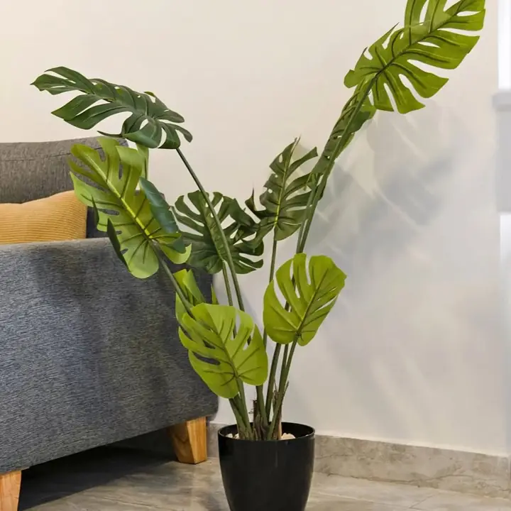 Planta Artificial Costilla de Adán (Envíos a Domicilio)