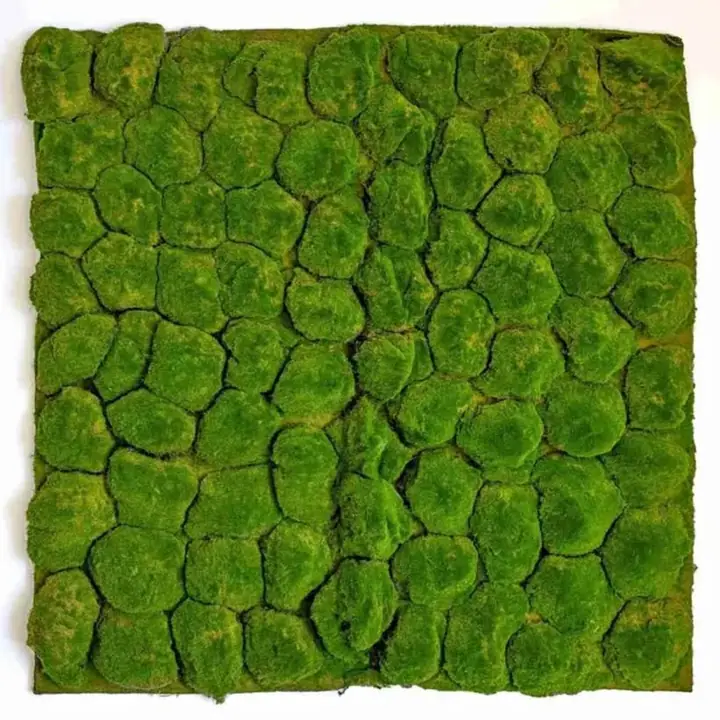 Novedad Decoración - Panel Jardin Vertical Símil Musgo 1x1 (1m2)