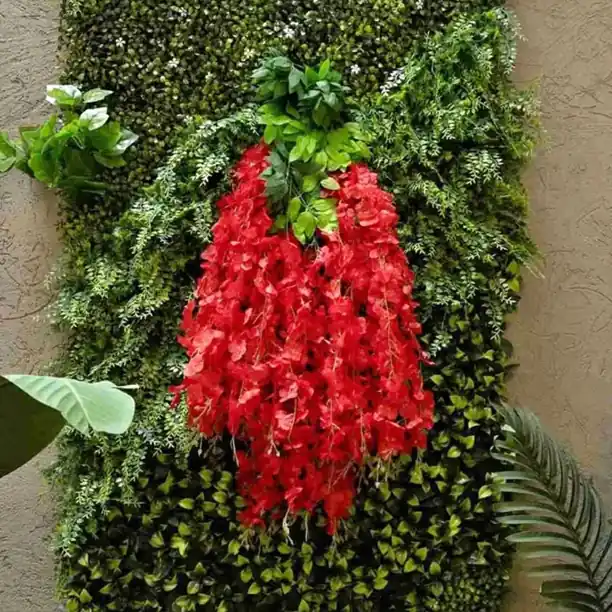 Enredadera Flores Glicina (Pack 12 Unidades) (Envíos a Domicilio)