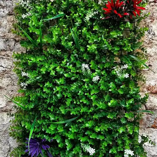 20 Paneles Jardín Vertical “Samborombom” 60x40 (Envíos a Domicilio)
