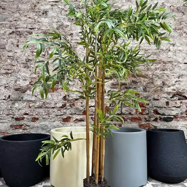 Planta Artificial “Bambú” (Envíos a Domicilio)