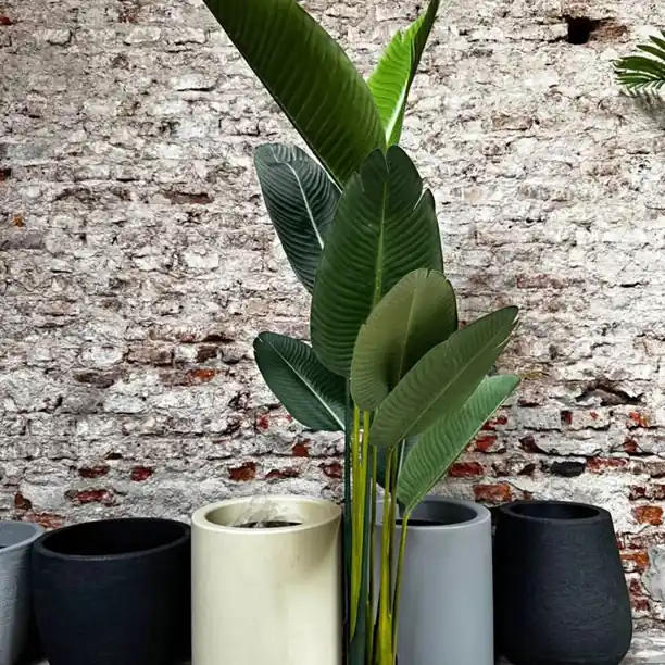 Planta Artificial “Ave de Paraíso” 1.60cm (Envíos a Domicilio)