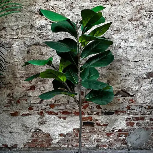 Planta Artificial “Hoja de Violín” (Envíos a Domicilio)