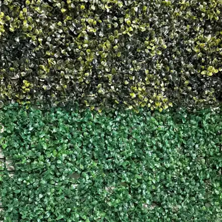 Jardín Vertical Panel “Deseado” 60x40cms (Envíos a Domicilio)