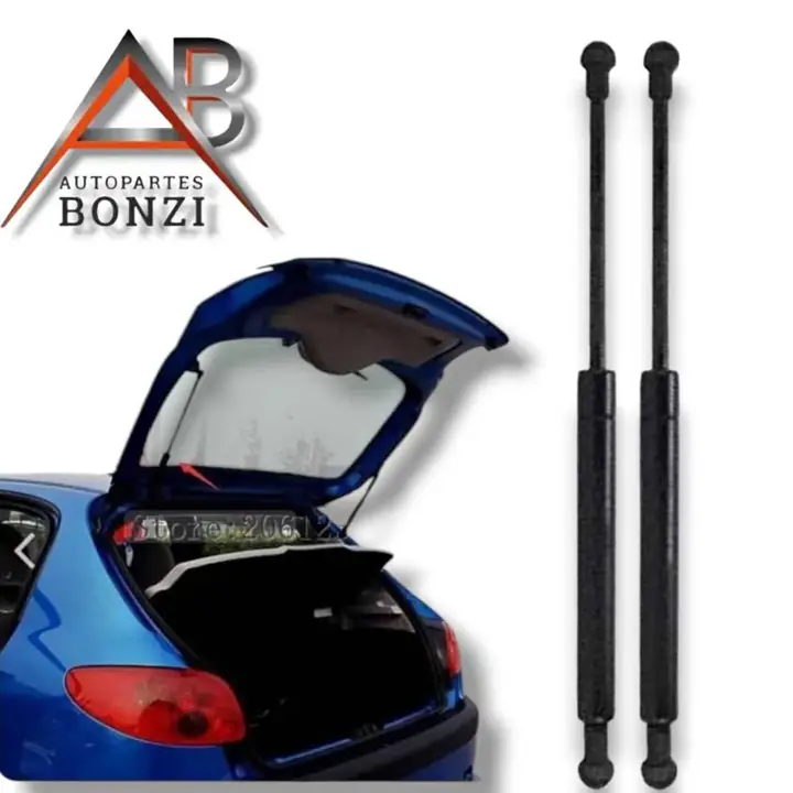 Kit x 2 amortiguadores traseros de Peugeot 206 207