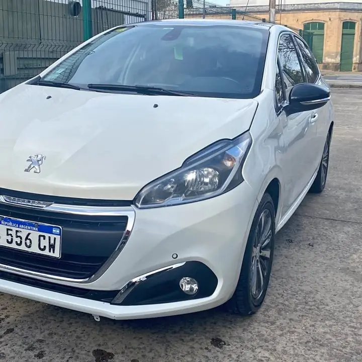 Vendo 208 feline