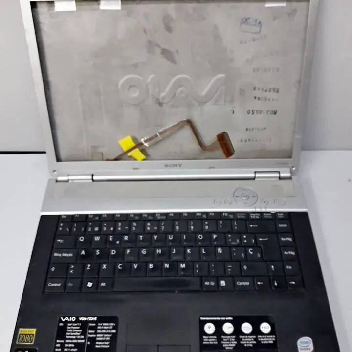 Notebook Sony / Vaio VGN-FZ31E / Repuesto Varios