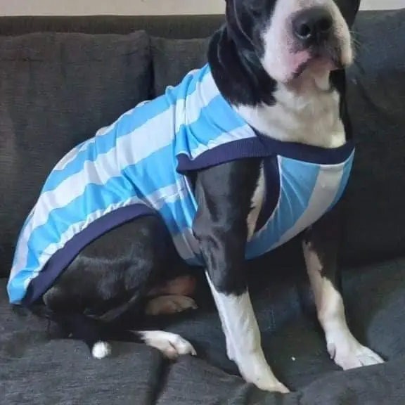 Llegaron las remeras de Argentina!