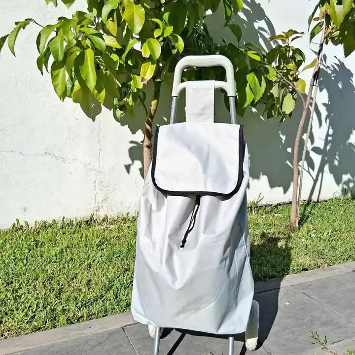 Carro de compras