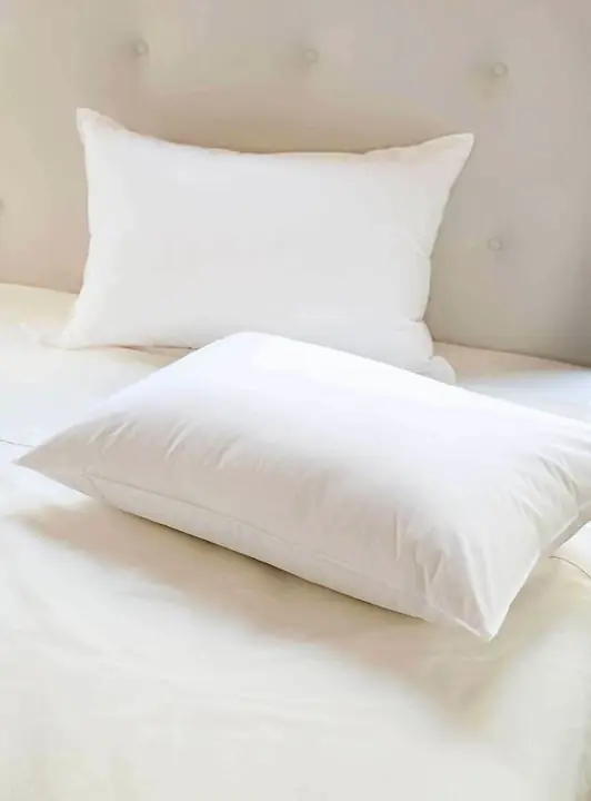 Rellenos de almohadas x 2