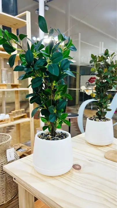 Plantas artificiales con maceta y piedritas
