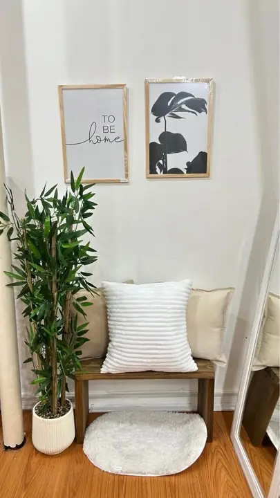 Cuadros 40x30 x2