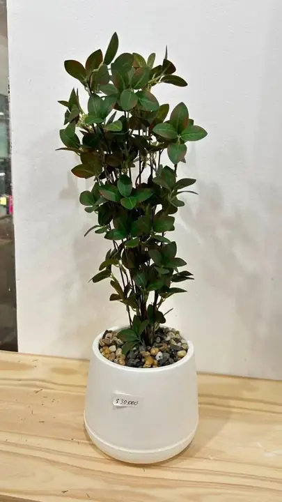 Planta articial con maceta 70 cm