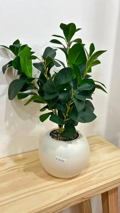 Planta artificial con maceta 50 cm