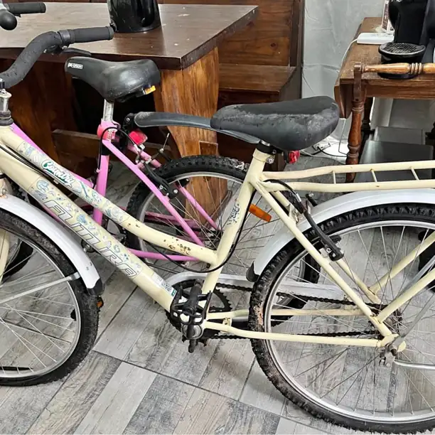 Bicicleta playera futura rodado 26