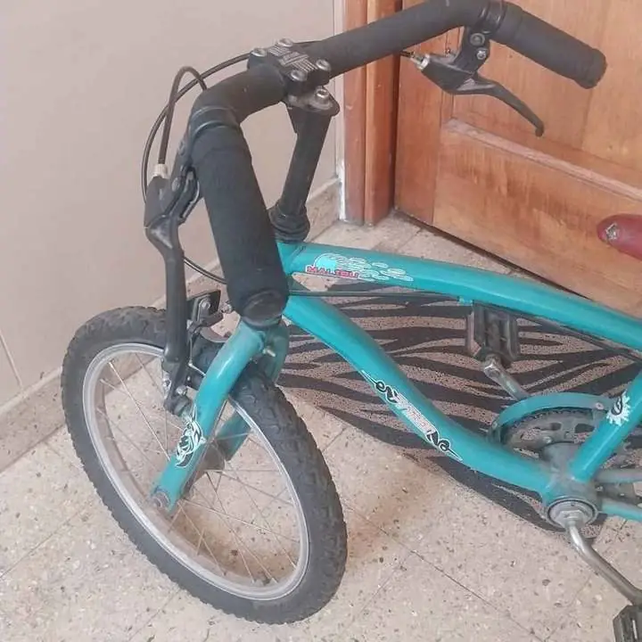 Bici rodado 16 sin uso con ruedas
