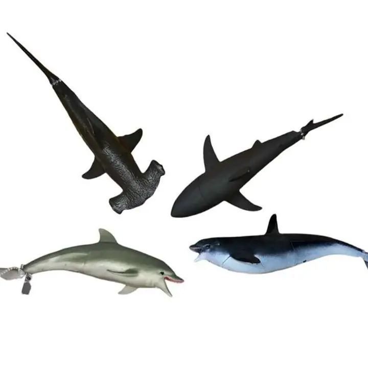 Animales marinos