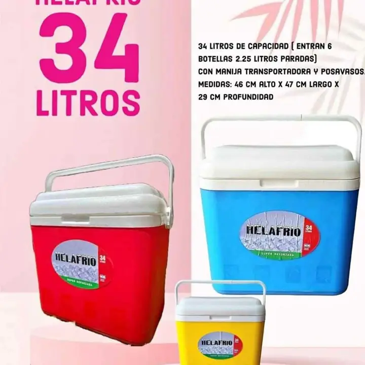 Conservadora 34 lts helafrio