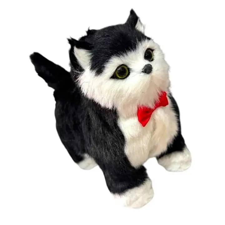 Gato Bailarín A Pila