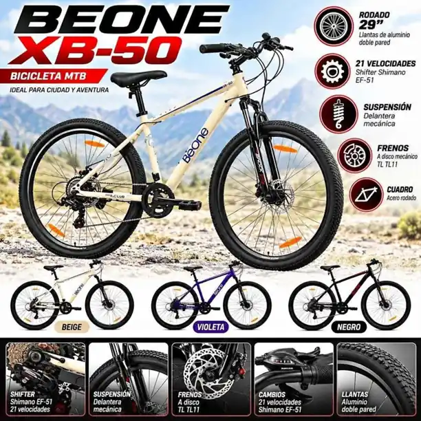 Bicicleta MTB rod 29 beone acero