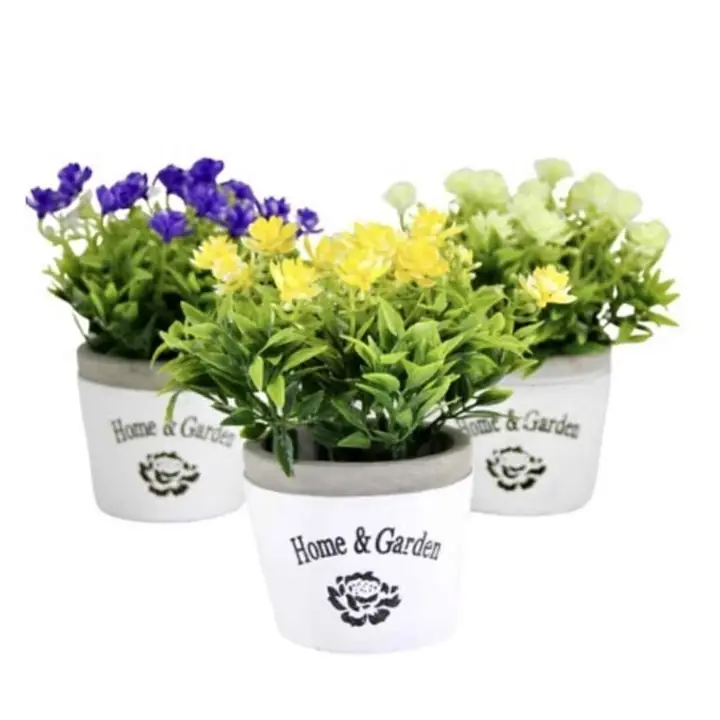 Macetin decorativo lavanda surtido