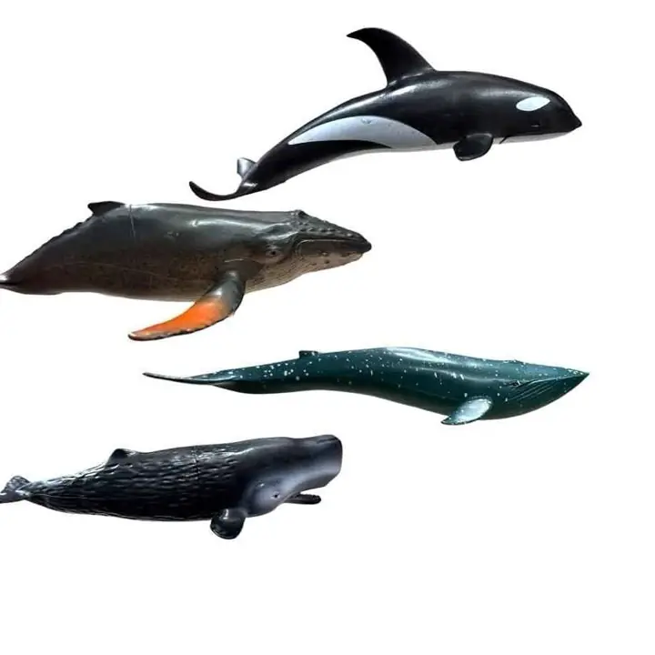 Animales acuáticos Ballenas