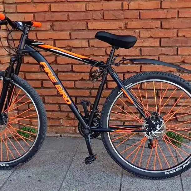 Bicicleta R29 Firebird - Impecable