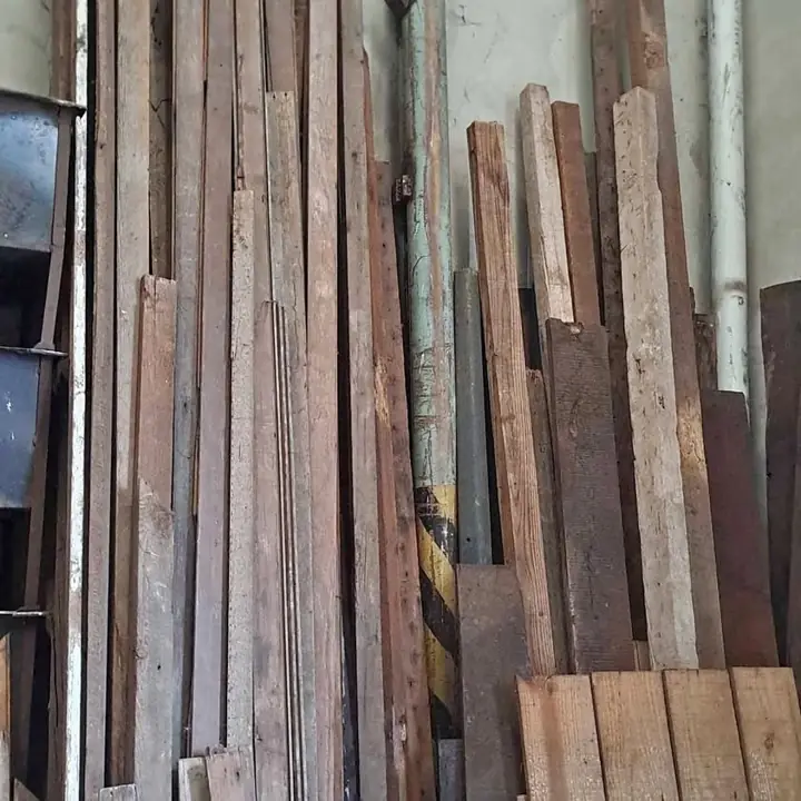Lote de pinotea