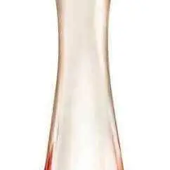 Perfume Kriska vto 01/25