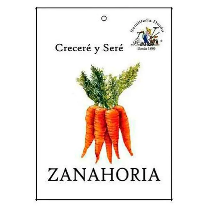 Semillas de Zanahoria en sobre ideal Huerta en casa