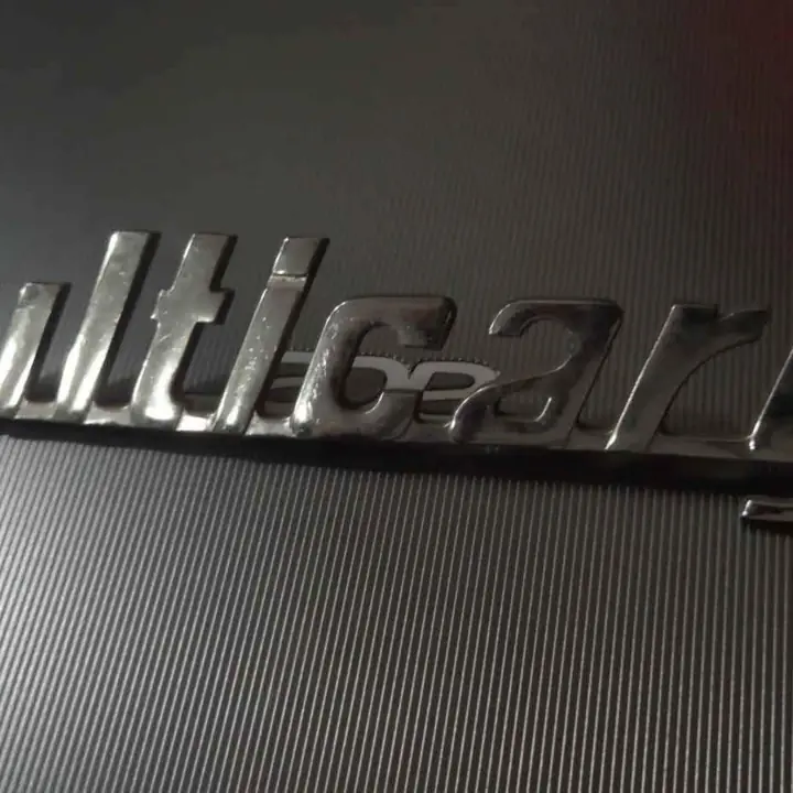 Fiat Multicarga Insignia Trasera