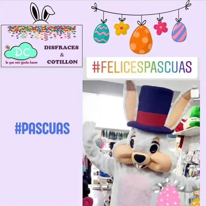 Disfraz Conejo de pascuas