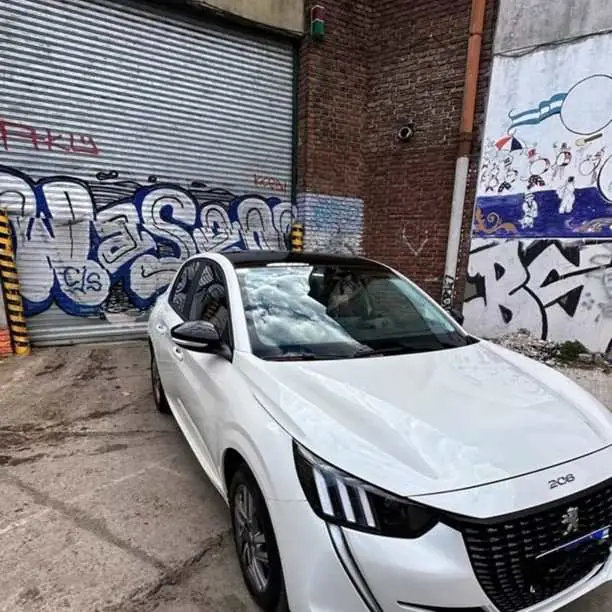 208 Feline KM usado