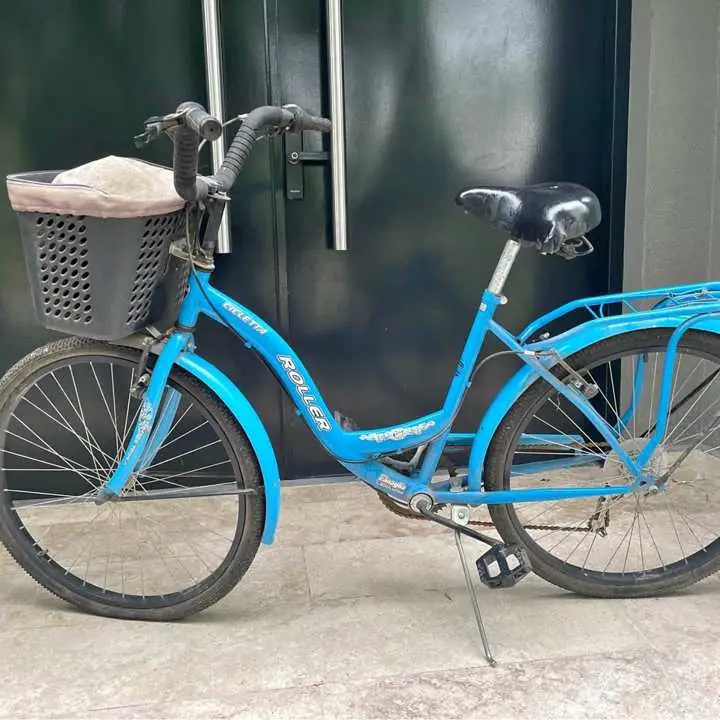 Bicicleta con canasto