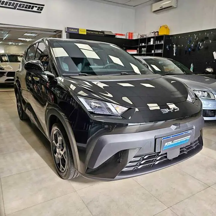 2026 BYD dolphin mini gs