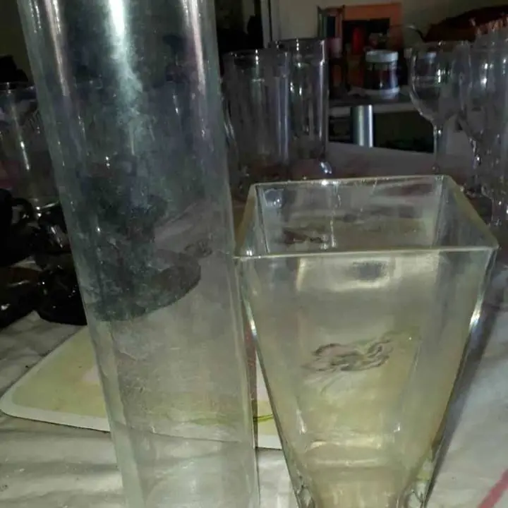 Liquido urgente por mudanza dos floreros de cristal