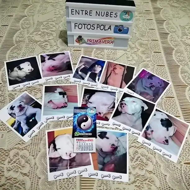 Promo de fotos