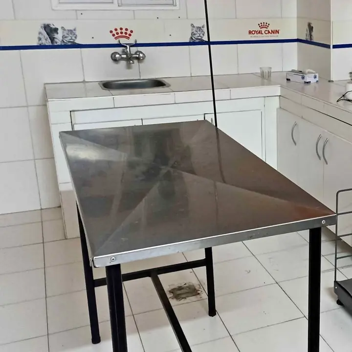 Mesa de acero inoxidable para veterinaria