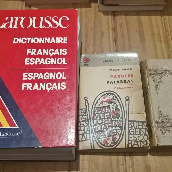Lote de diccionario francés/español y libros en francés