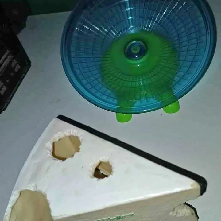 Lote de rueda y casa en forma de queso