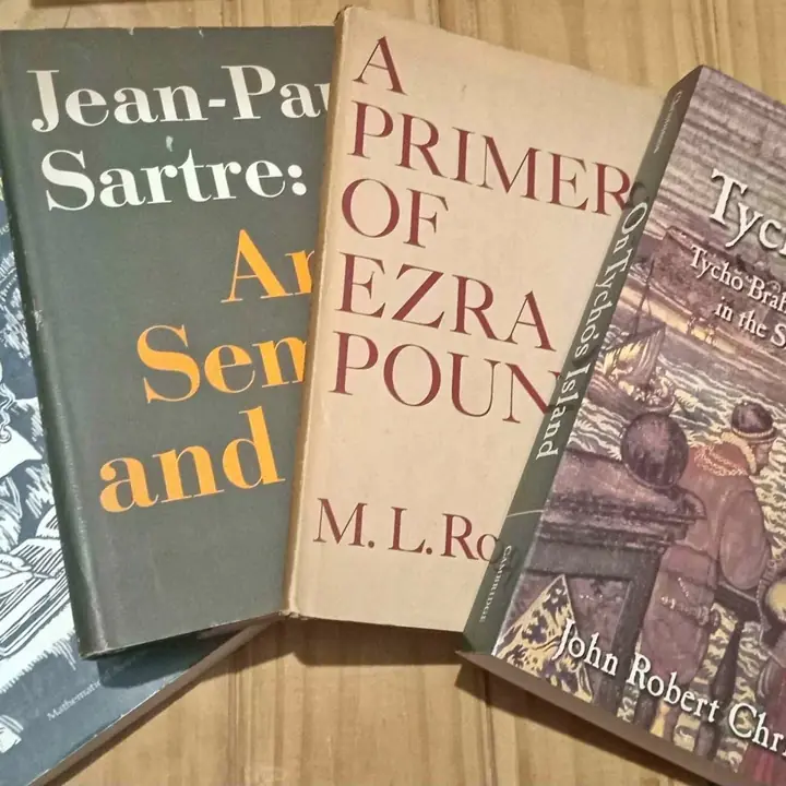 Lote de libros en inglés varios