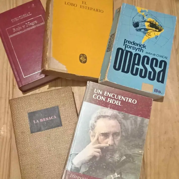 Lote de 5 libros personajes destacados y otros