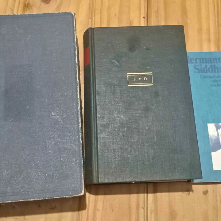 Lote de libros y diccionario en alemán