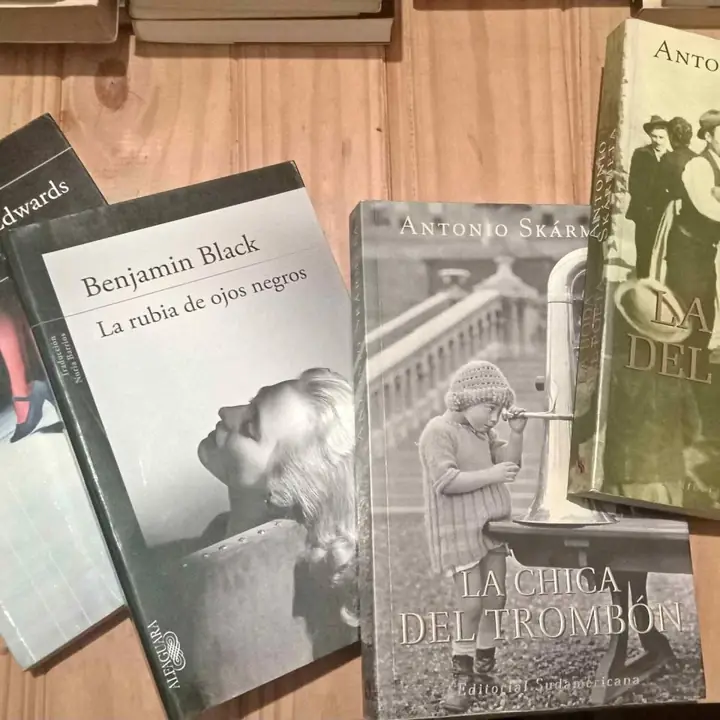 Lote de libros novelas y mas