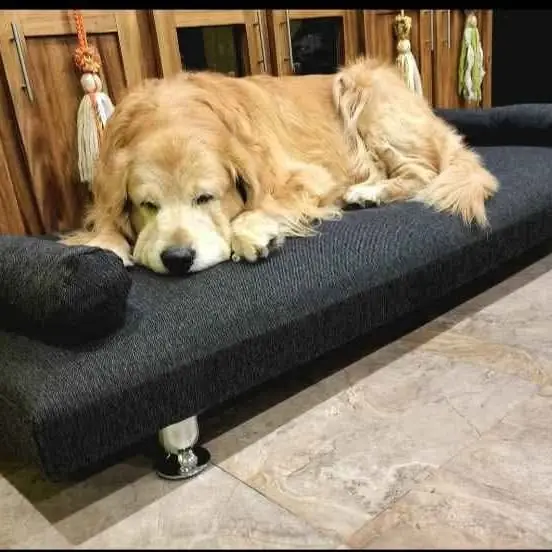 Sillones para ellos