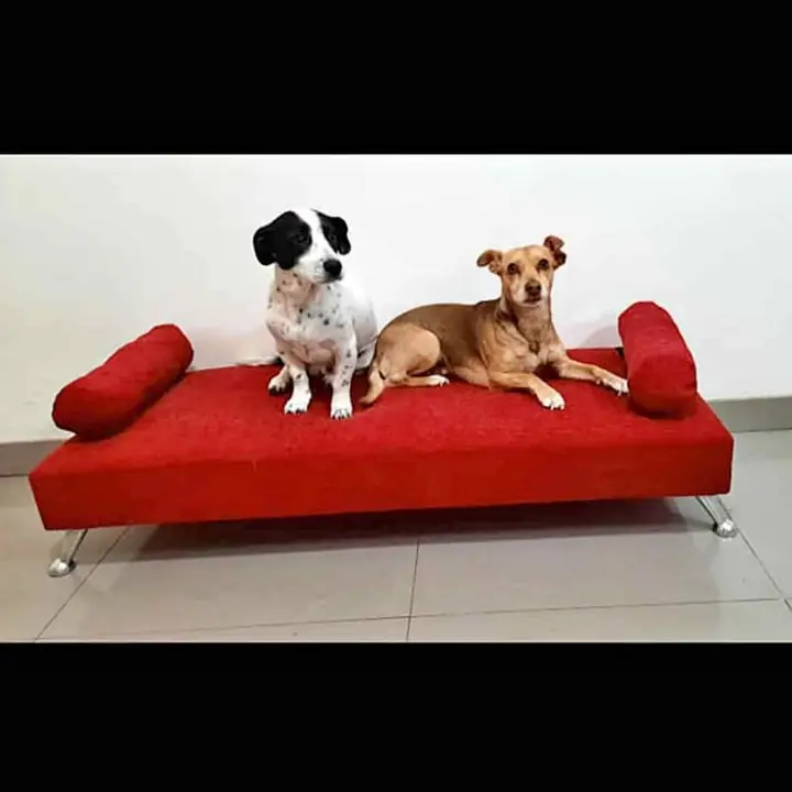 Sillón mascotero