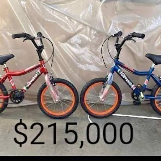 Bicicleta variedad