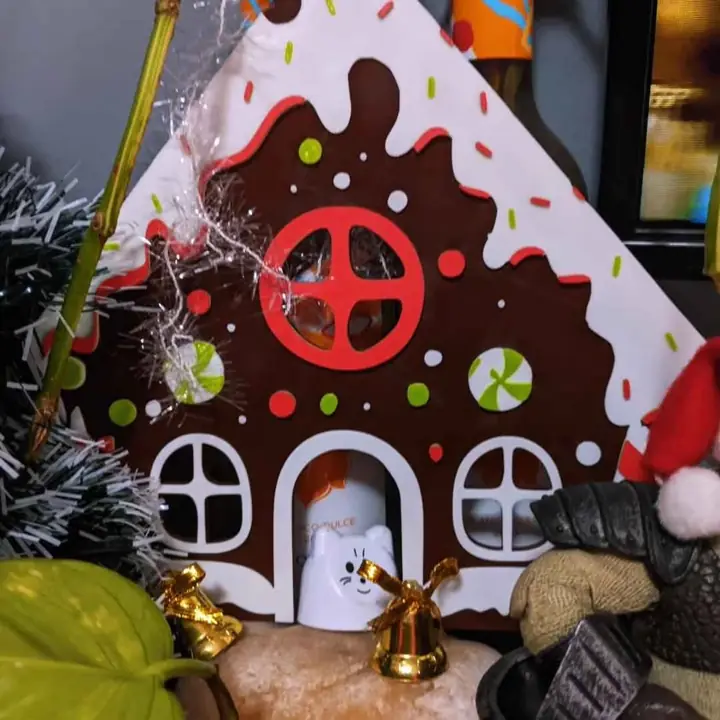 Adornos de navidad, gengibre y su casita